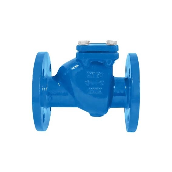 Swing Type Ductile Cast Iron Check Valve BS Standard BS5153