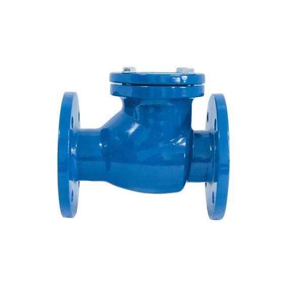 Swing Type Cast Iron Valves DIN Standard Ductile Iron Check Valves DIN3202-F6