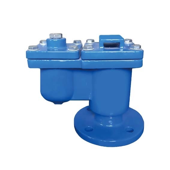 BS ANSI Ductile Iron Check Valves Automatic Air Valve Flange Cast Iron Flanged Gate