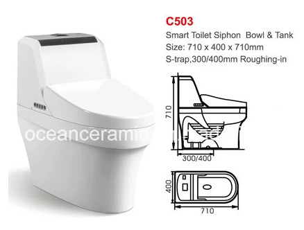 One Piece 710 X 400 X 710mm Smart Toilet Wall Hung Standing Intelligent Toilet Seat